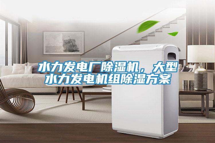 水力發(fā)電廠除濕機(jī)，大型水力發(fā)電機(jī)組除濕方案