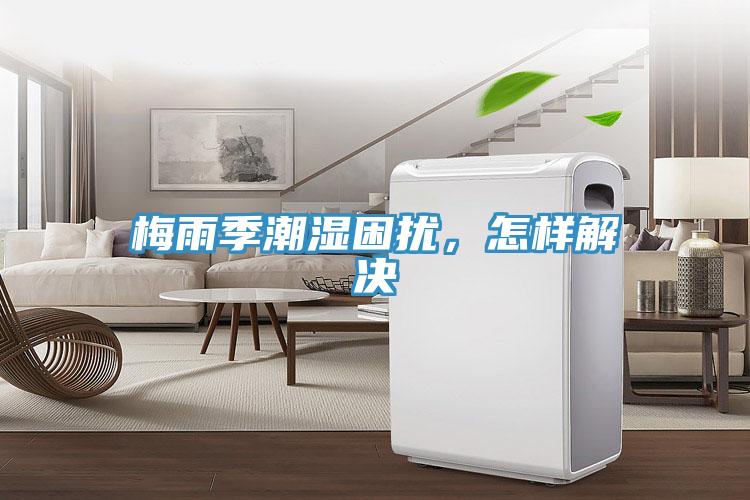 梅雨季潮濕困擾，怎樣解決