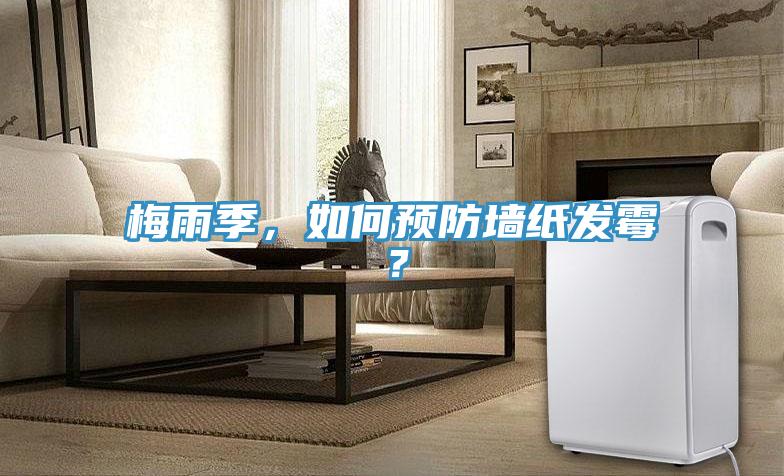 梅雨季，如何預(yù)防墻紙發(fā)霉？