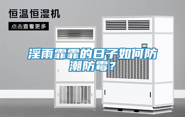 淫雨霏霏的日子如何防潮防霉？