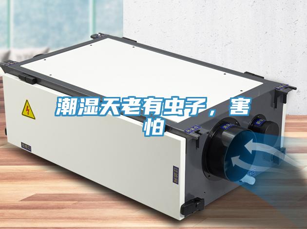 潮濕天老有蟲(chóng)子，害怕