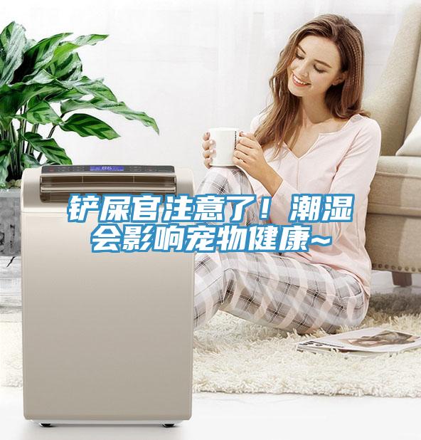 鏟屎官注意了！潮濕會影響寵物健康~