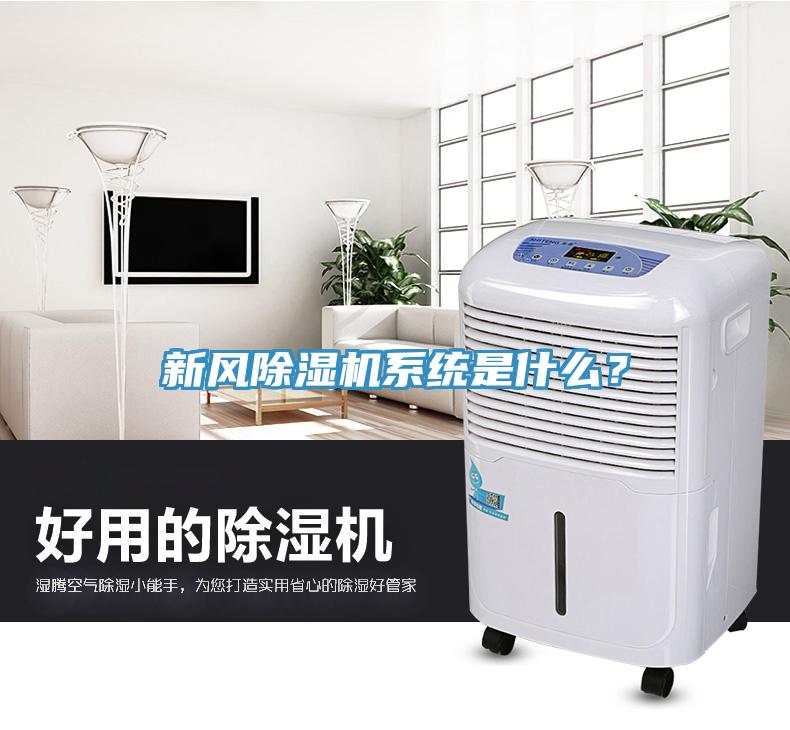 新風(fēng)除濕機(jī)系統(tǒng)是什么？
