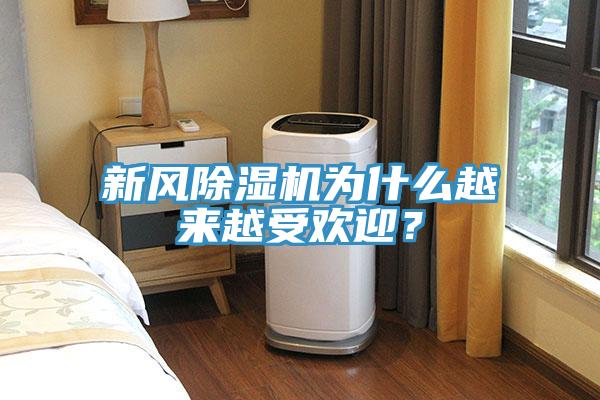 新風(fēng)除濕機(jī)為什么越來越受歡迎？