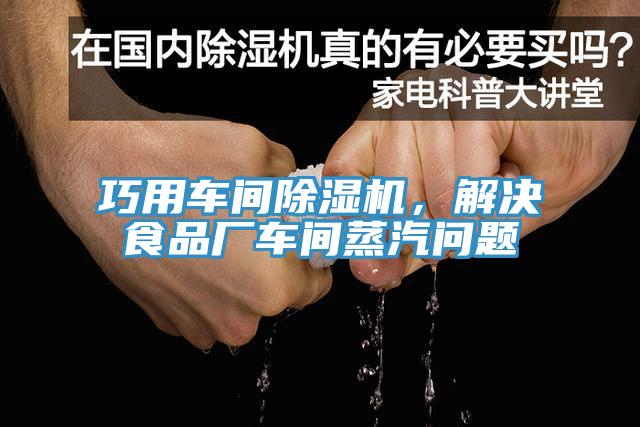 巧用車間除濕機，解決食品廠車間蒸汽問題