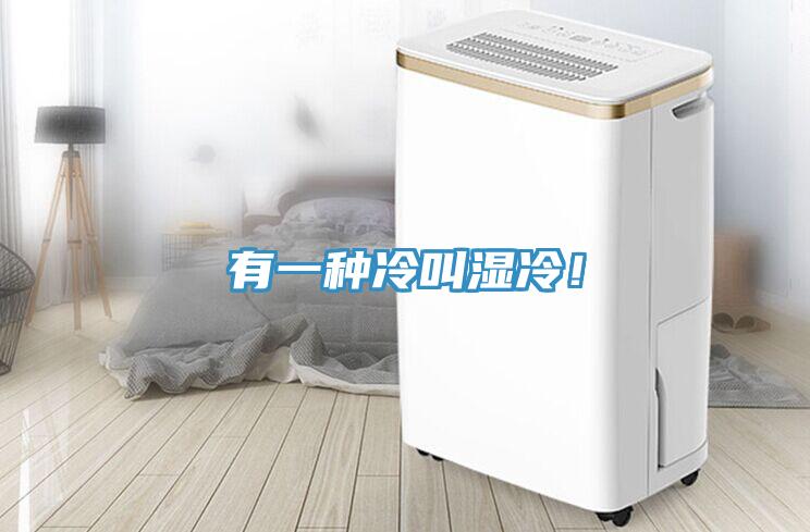 有一種冷叫濕冷！