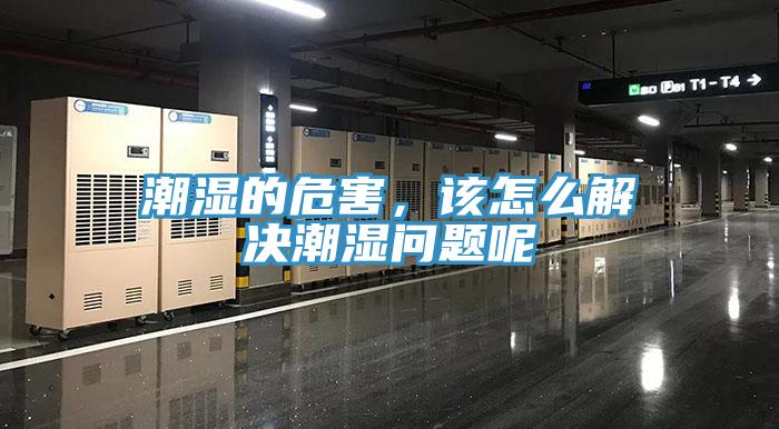 潮濕的危害，該怎么解決潮濕問(wèn)題呢