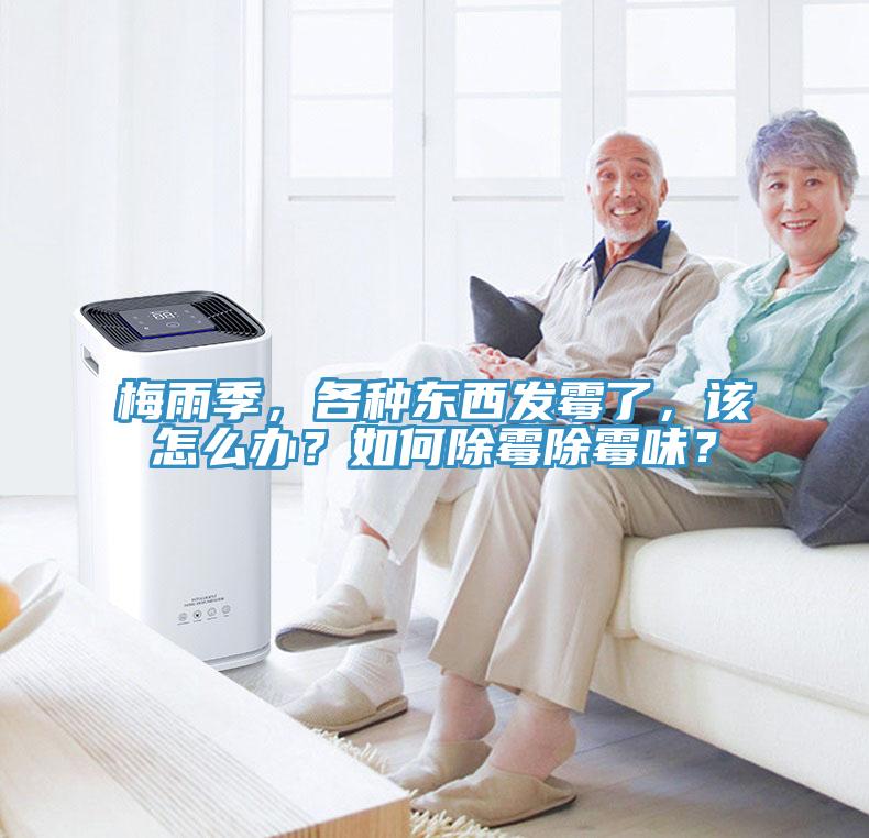 梅雨季，各種東西發(fā)霉了，該怎么辦？如何除霉除霉味？