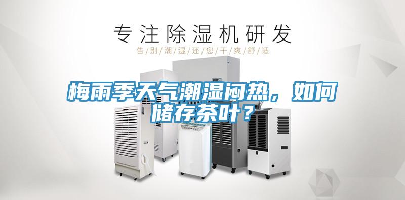 梅雨季天氣潮濕悶熱，如何儲(chǔ)存茶葉？