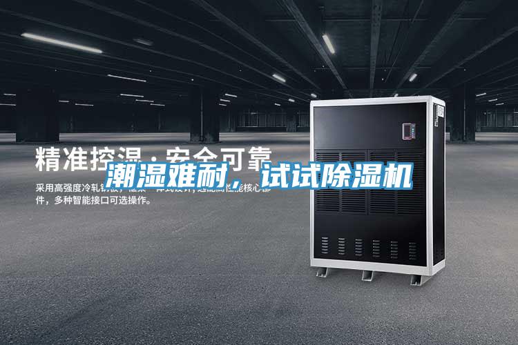 潮濕難耐，試試除濕機