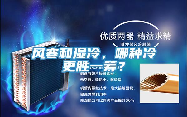 風(fēng)寒和濕冷，哪種冷更勝一籌？