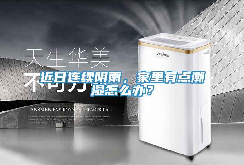近日連續(xù)陰雨，家里有點(diǎn)潮濕怎么辦？