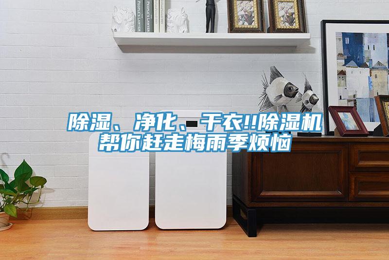 除濕、凈化、干衣!!除濕機幫你趕走梅雨季煩惱