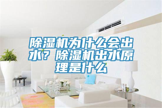 除濕機(jī)為什么會(huì)出水？除濕機(jī)出水原理是什么