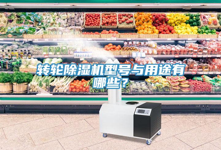 轉(zhuǎn)輪除濕機(jī)型號(hào)與用途有哪些？