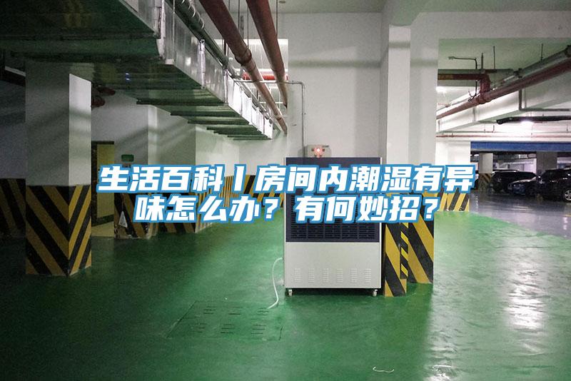 生活百科丨房間內(nèi)潮濕有異味怎么辦？有何妙招？