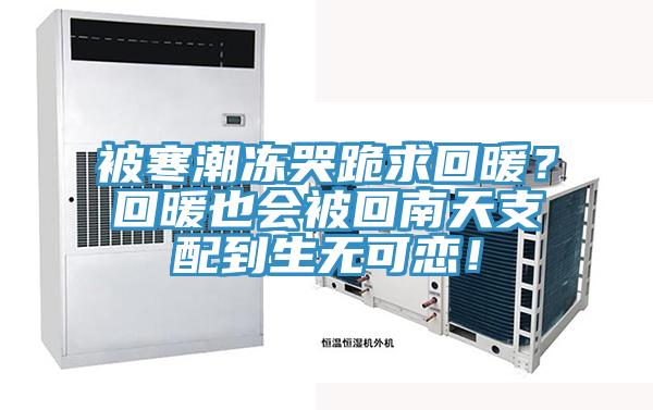 被寒潮凍哭跪求回暖？回暖也會被回南天支配到生無可戀！