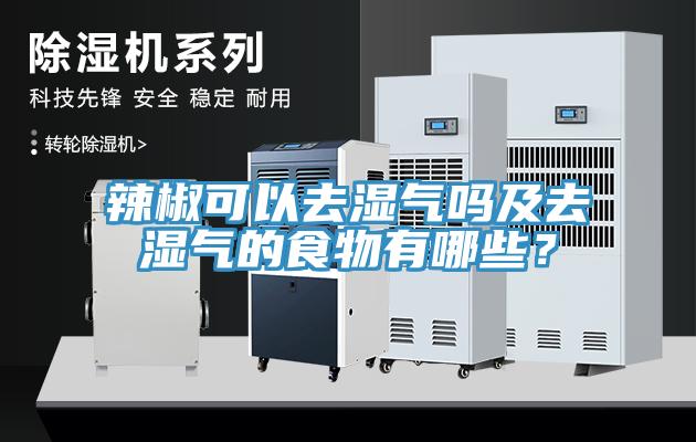 辣椒可以去濕氣嗎及去濕氣的食物有哪些？