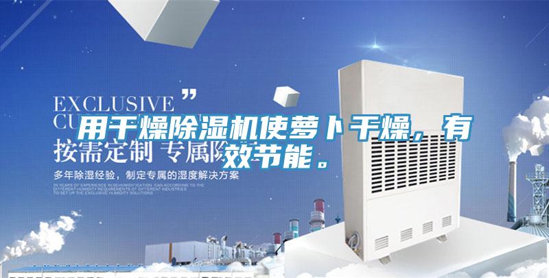 用干燥除濕機使蘿卜干燥，有效節(jié)能。