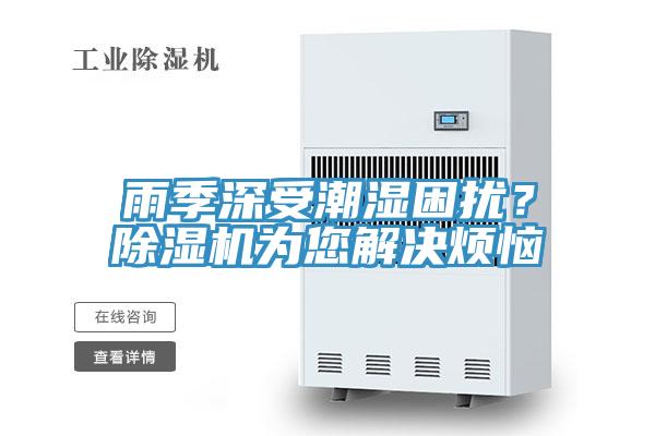 雨季深受潮濕困擾？除濕機(jī)為您解決煩惱
