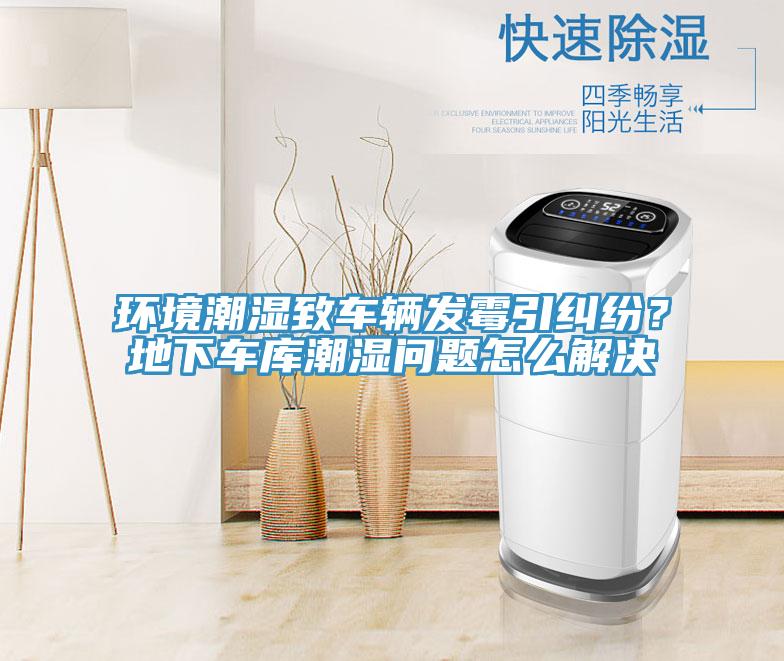環(huán)境潮濕致車輛發(fā)霉引糾紛？地下車庫潮濕問題怎么解決
