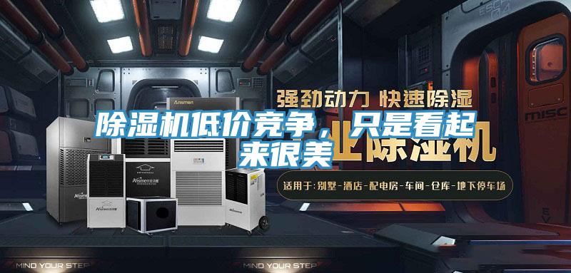 除濕機(jī)低價(jià)競爭，只是看起來很美