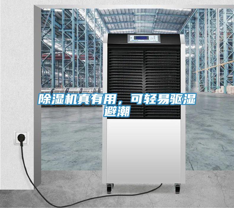 除濕機真有用，可輕易驅(qū)濕避潮