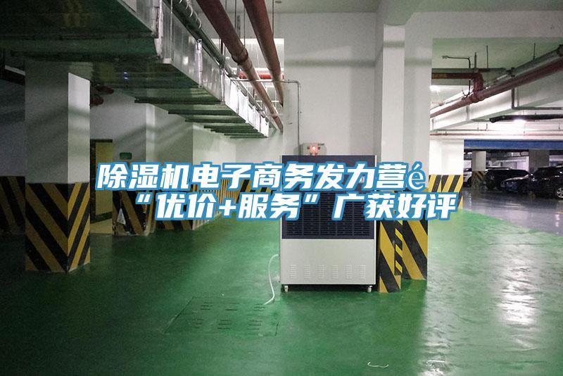 除濕機(jī)電子商務(wù)發(fā)力營銷“優(yōu)價+服務(wù)”廣獲好評