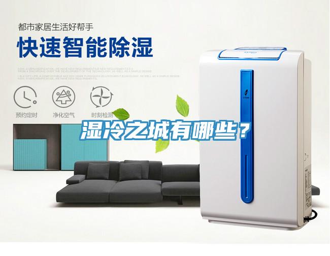 濕冷之城有哪些？