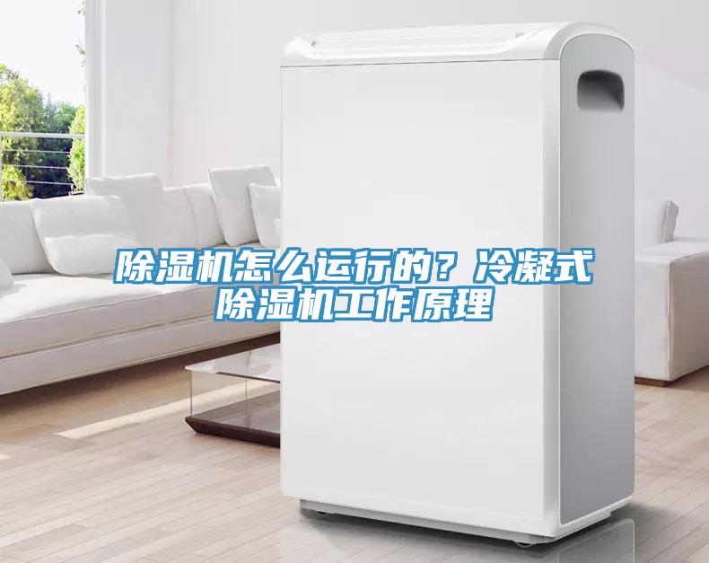 除濕機怎么運行的？冷凝式除濕機工作原理