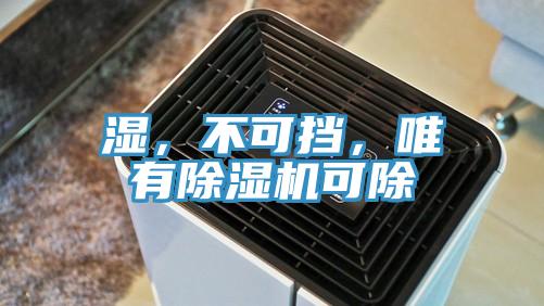濕，不可擋，唯有除濕機(jī)可除