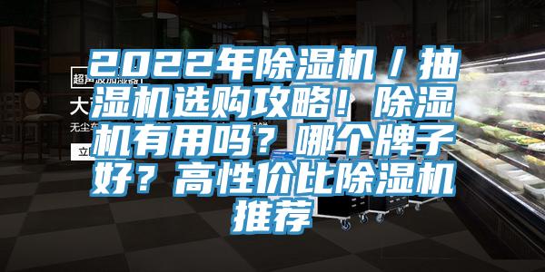 2022年除濕機／抽濕機選購攻略！除濕機有用嗎？哪個牌子好？高性價比除濕機推薦