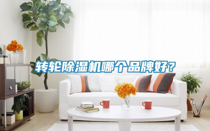 轉(zhuǎn)輪除濕機(jī)哪個(gè)品牌好？