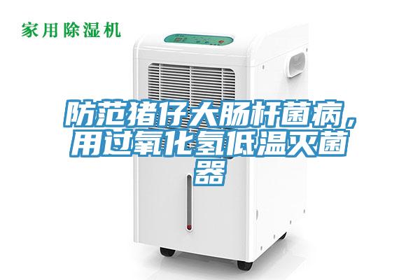防范豬仔大腸桿菌病，用過氧化氫低溫滅菌器