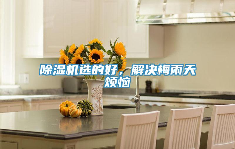 除濕機(jī)選的好，解決梅雨天煩惱