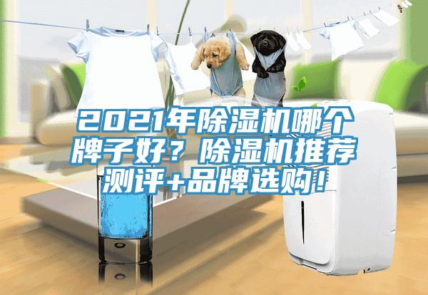 2021年除濕機(jī)哪個(gè)牌子好？除濕機(jī)推薦測(cè)評(píng)+品牌選購(gòu)！