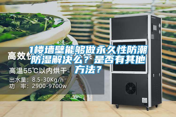 1樓墻壁能夠做永久性防潮防濕解決么？是否有其他方法？