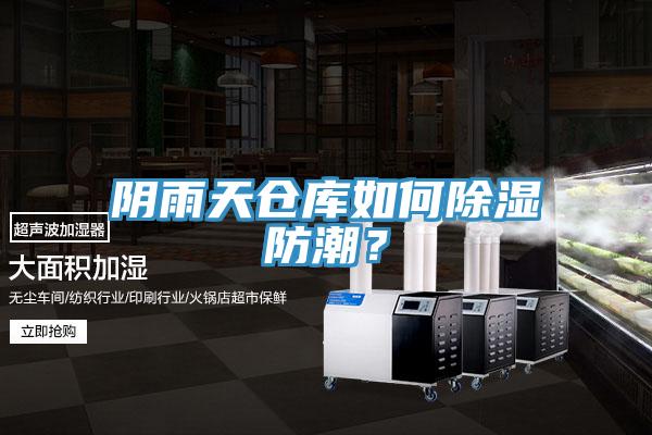 陰雨天倉庫如何除濕防潮？
