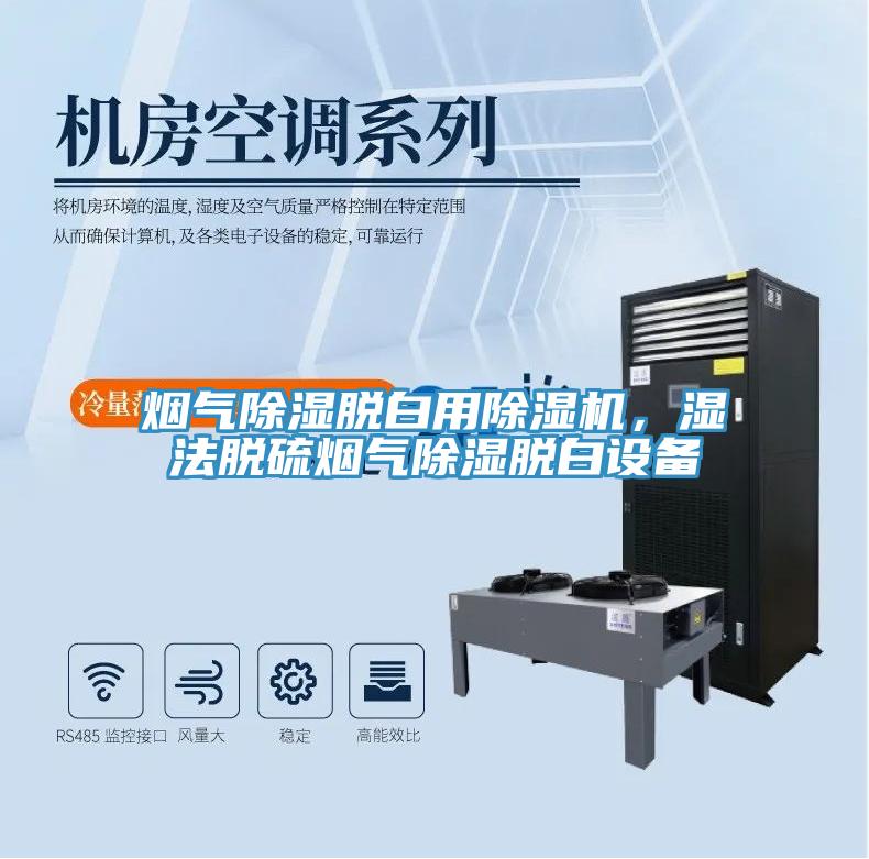 煙氣除濕脫白用除濕機(jī)，濕法脫硫煙氣除濕脫白設(shè)備