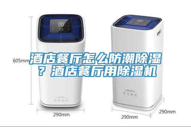酒店餐廳怎么防潮除濕？酒店餐廳用除濕機(jī)