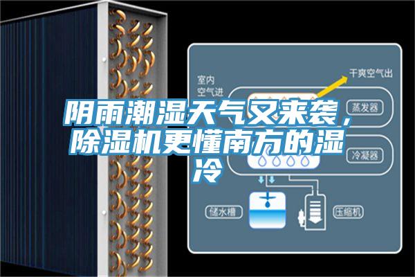 陰雨潮濕天氣又來襲，除濕機更懂南方的濕冷