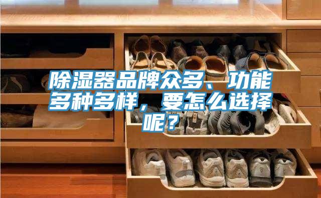 除濕器品牌眾多、功能多種多樣，要怎么選擇呢？