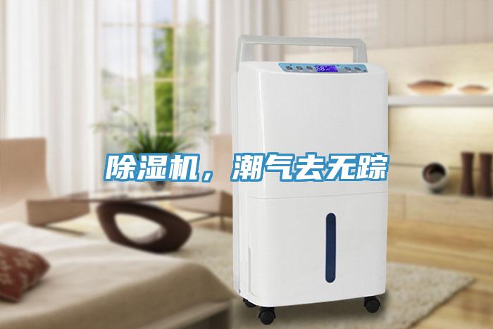 除濕機，潮氣去無蹤