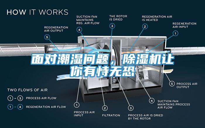 面對潮濕問題，除濕機讓你有恃無恐