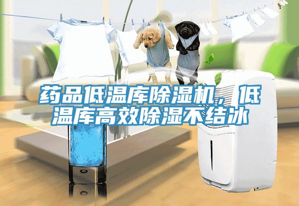 藥品低溫庫除濕機，低溫庫高效除濕不結冰