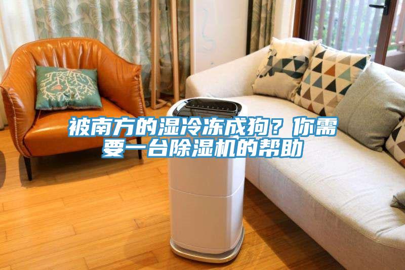 被南方的濕冷凍成狗？你需要一臺(tái)除濕機(jī)的幫助
