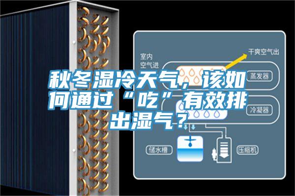 秋冬濕冷天氣，該如何通過“吃”有效排出濕氣？