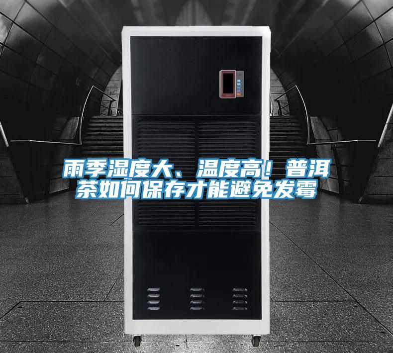 雨季濕度大、溫度高！普洱茶如何保存才能避免發(fā)霉