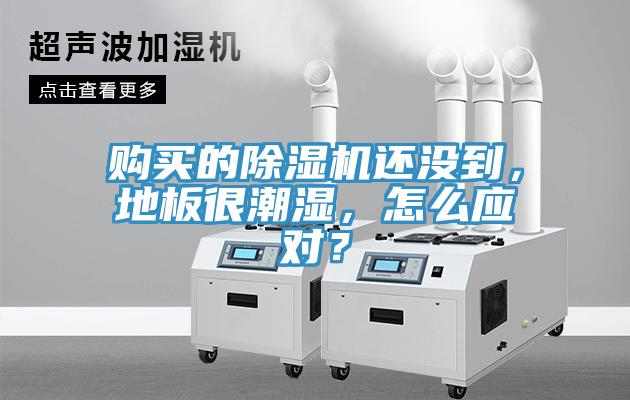 購買的除濕機(jī)還沒到，地板很潮濕，怎么應(yīng)對？