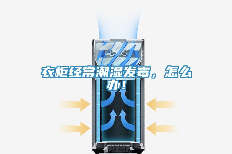衣柜經(jīng)常潮濕發(fā)霉，怎么辦！